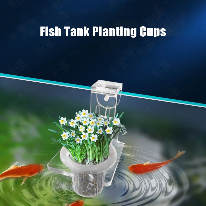 Fish Tank Planting Cups Hydrop - Hanging Planter Basket บทวิจารณ์และราคา