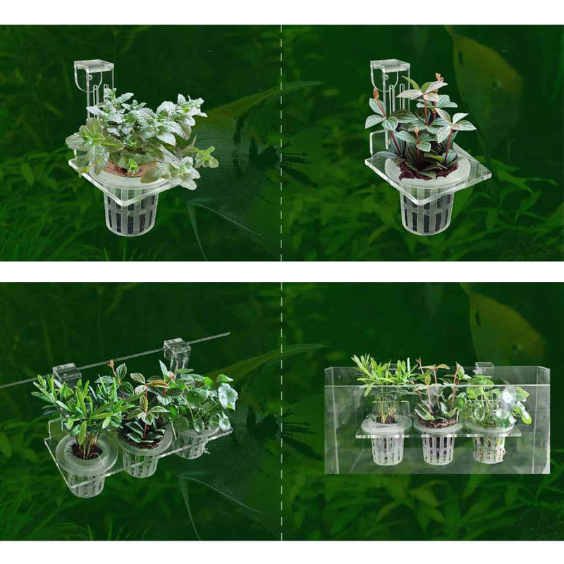 Fish Tank Planting Cups Hydrop - Hanging Planter Basket บทวิจารณ์และราคา