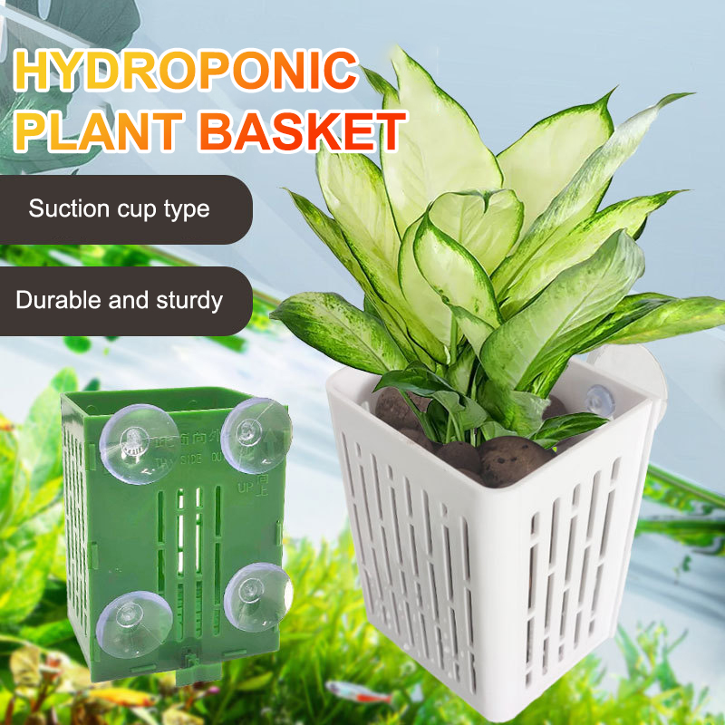 Hanging Suction Cup Hook Aquar - Hanging Planter Basket บทวิจารณ์และราคา