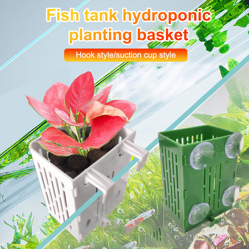 Hanging Suction Cup Hook Aquar - Hanging Planter Basket บทวิจารณ์และราคา