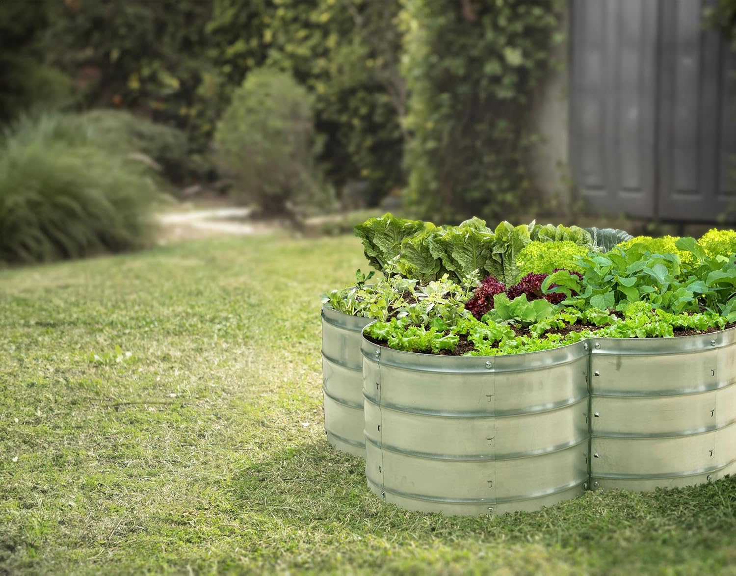 Galvanized Raised Garden Bed 3 - Gardening Tools Box บทวิจารณ์และราคา