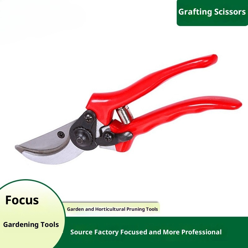Premium Grafting Pruning Shear - Gardening Tools Quality บทวิจารณ์และราคา