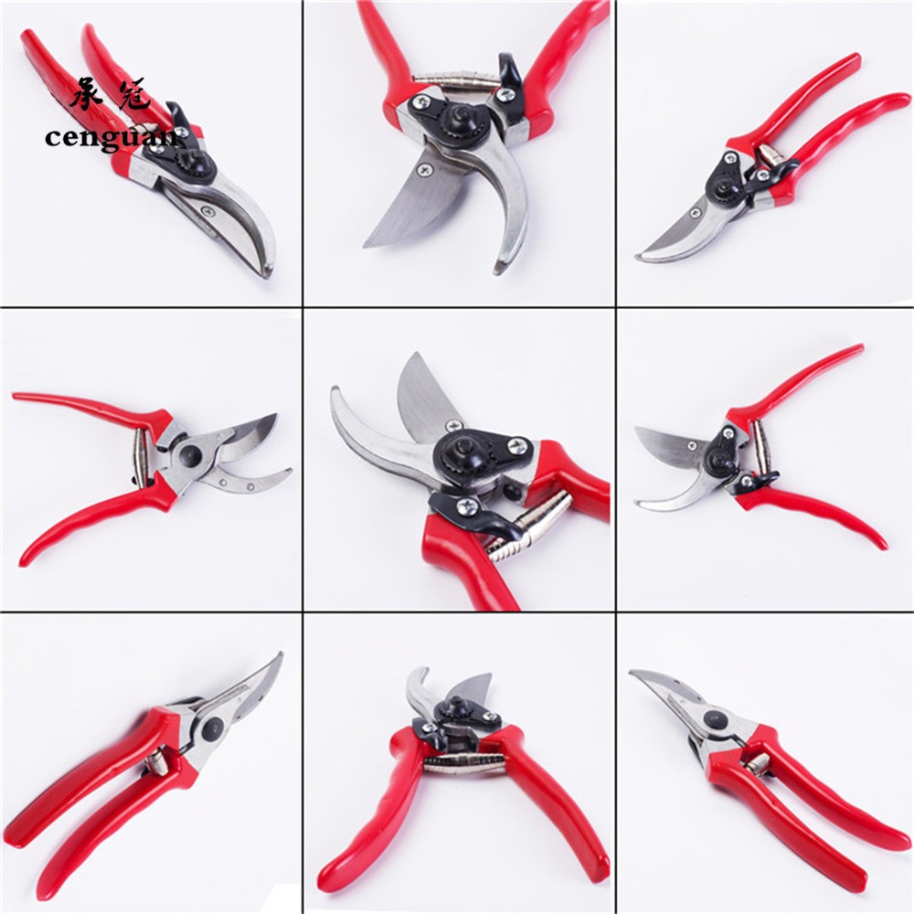 Premium Grafting Pruning Shear - Gardening Tools Quality บทวิจารณ์และราคา
