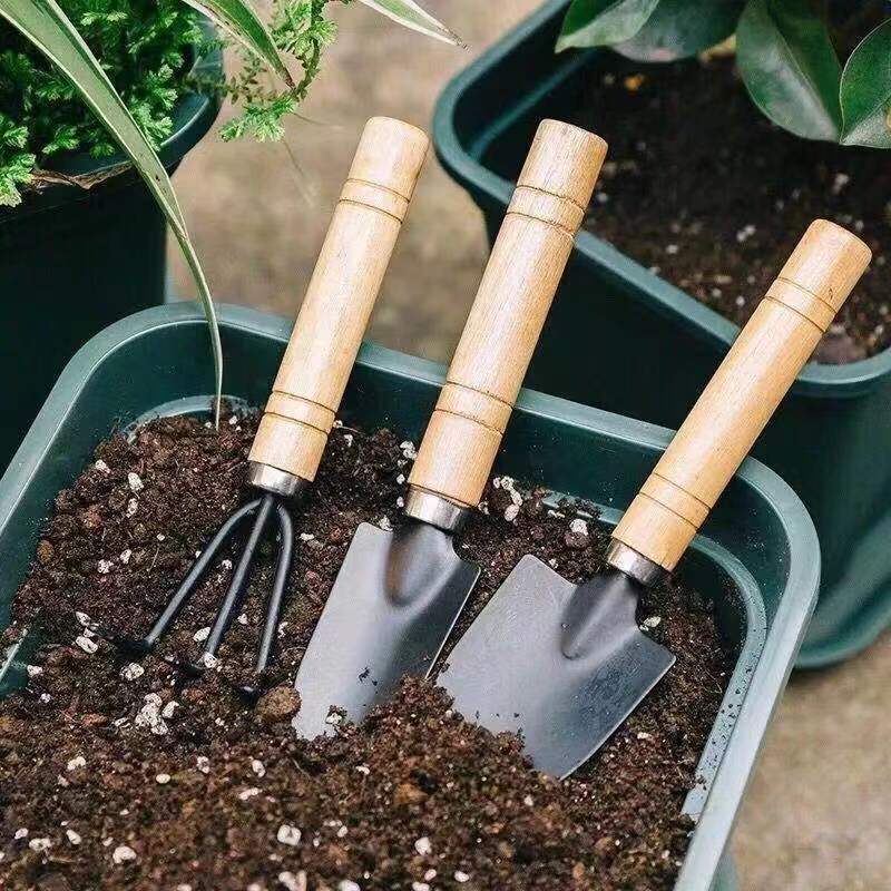 3Pcs Mini Gardening Tool Set w - Gardening Tools Shovel บทวิจารณ์และราคา
