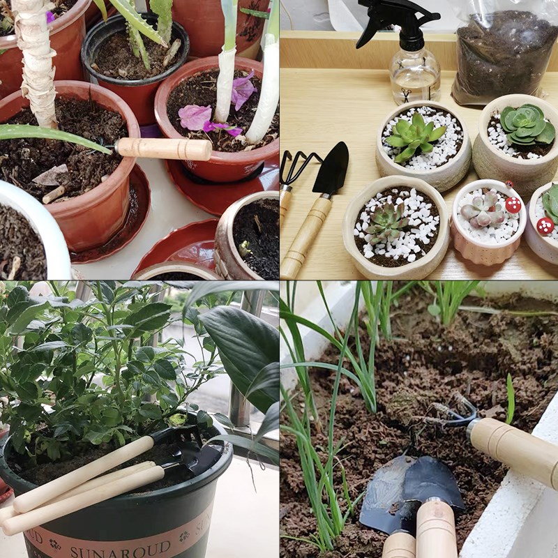 3Pcs Mini Gardening Tool Set w - Gardening Tools Shovel บทวิจารณ์และราคา