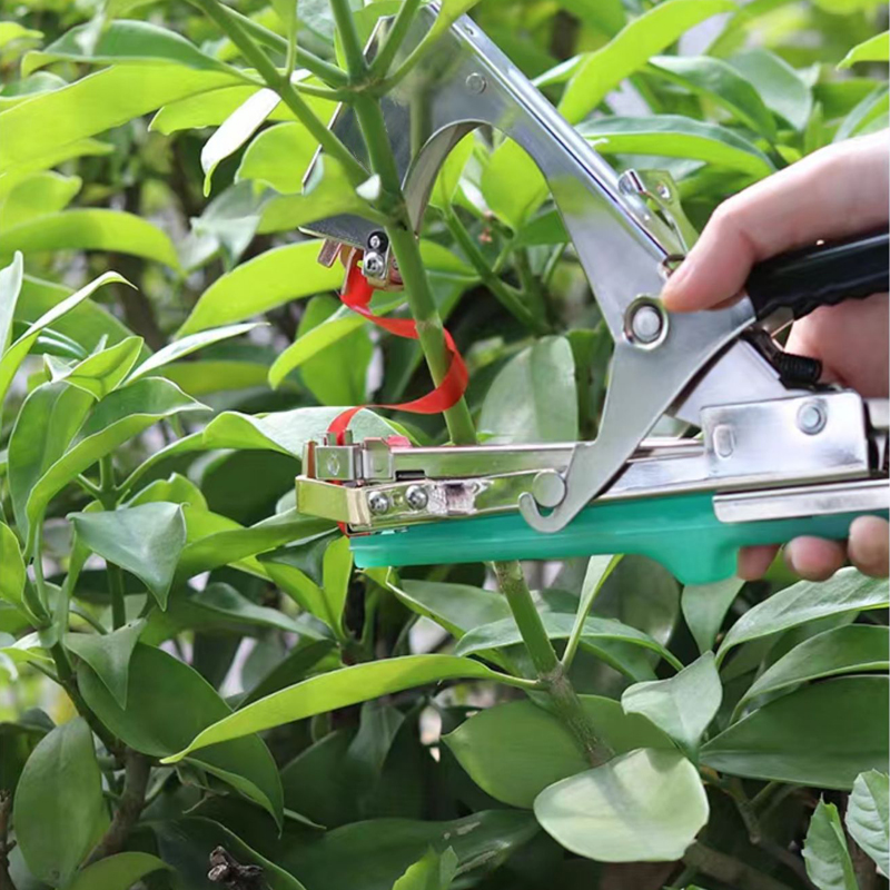 Garden Plants Branch Hand Tyin - Gardening Tools Kit For Home Garden บทวิจารณ์และราคา