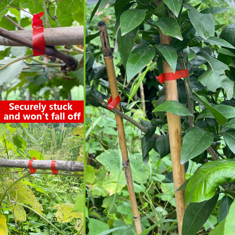 Garden Plants Branch Hand Tyin - Gardening Tools Kit For Home Garden บทวิจารณ์และราคา