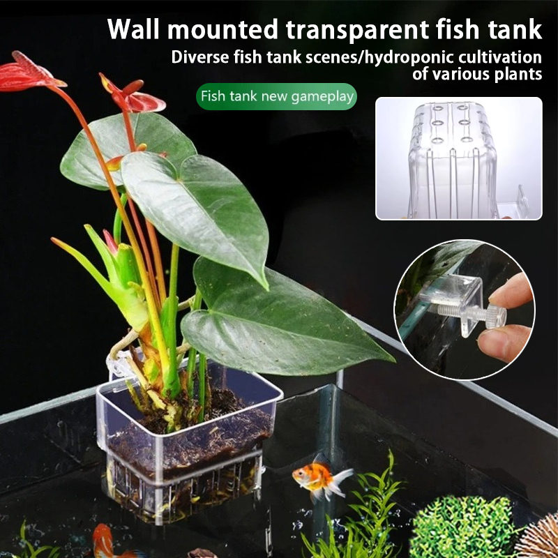 Aquarium Hanging Planter Cups  - Hanging Planter Basket บทวิจารณ์และราคา