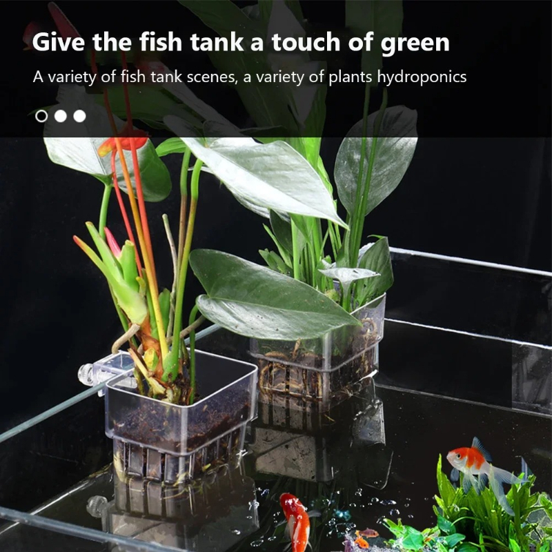 Aquarium Hanging Planter Cups  - Hanging Planter Basket บทวิจารณ์และราคา