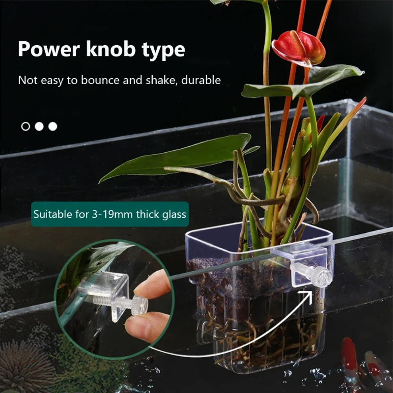 Aquarium Hanging Planter Cups  - Hanging Planter Basket บทวิจารณ์และราคา