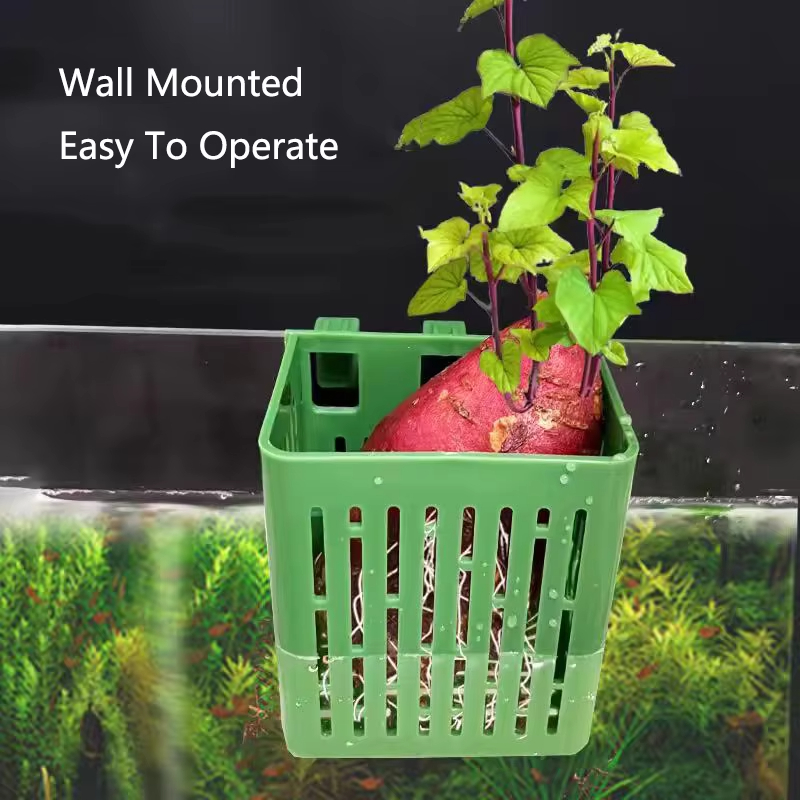 Fish Tank Water Grass Cup Aqua - Hanging Planter Basket บทวิจารณ์และราคา
