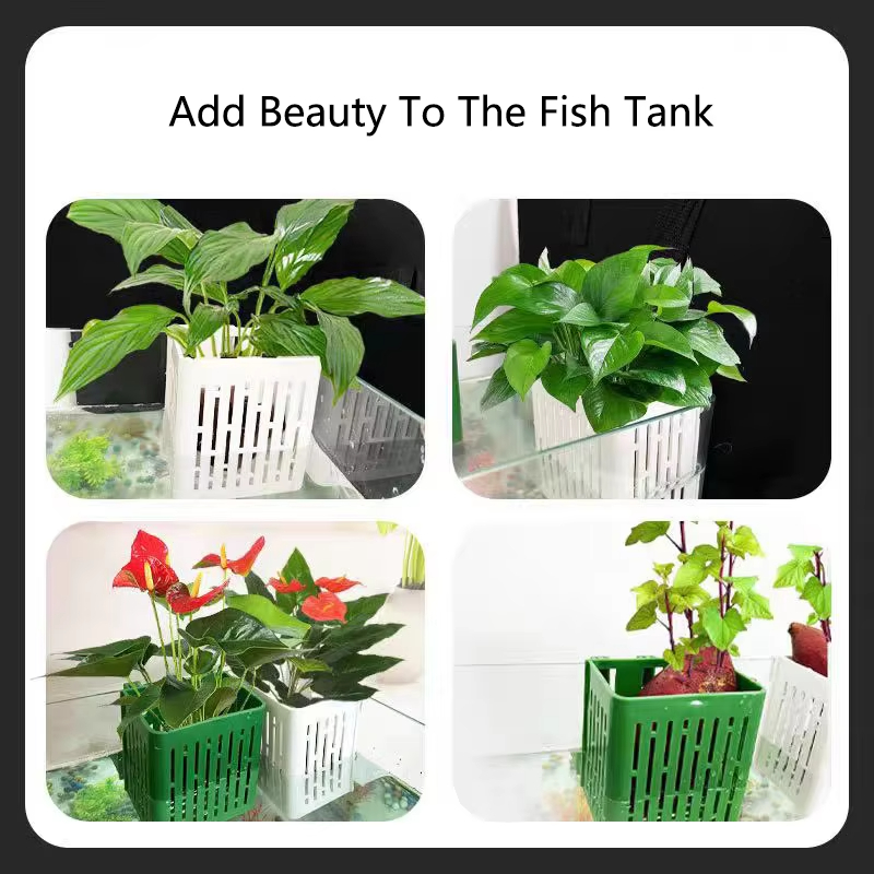 Fish Tank Water Grass Cup Aqua - Hanging Planter Basket บทวิจารณ์และราคา
