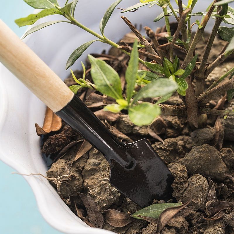 3PC/1Set  Mini Gardening Tools - Gardening Tools Shovel บทวิจารณ์และราคา