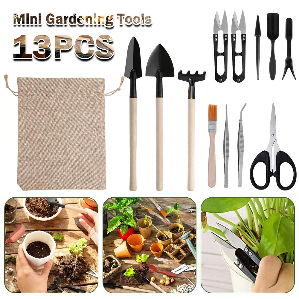 13PCS Succulent Plants Tool Se - Gardening Tools Kit For Home Garden บทวิจารณ์และราคา