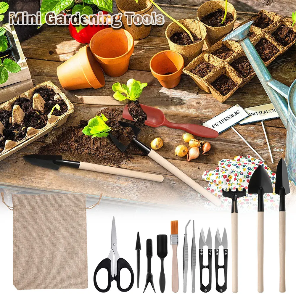 13PCS Succulent Plants Tool Se - Gardening Tools Kit For Home Garden บทวิจารณ์และราคา