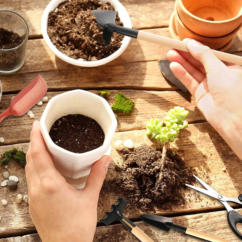 13PCS Succulent Plants Tool Se - Gardening Tools Kit For Home Garden บทวิจารณ์และราคา