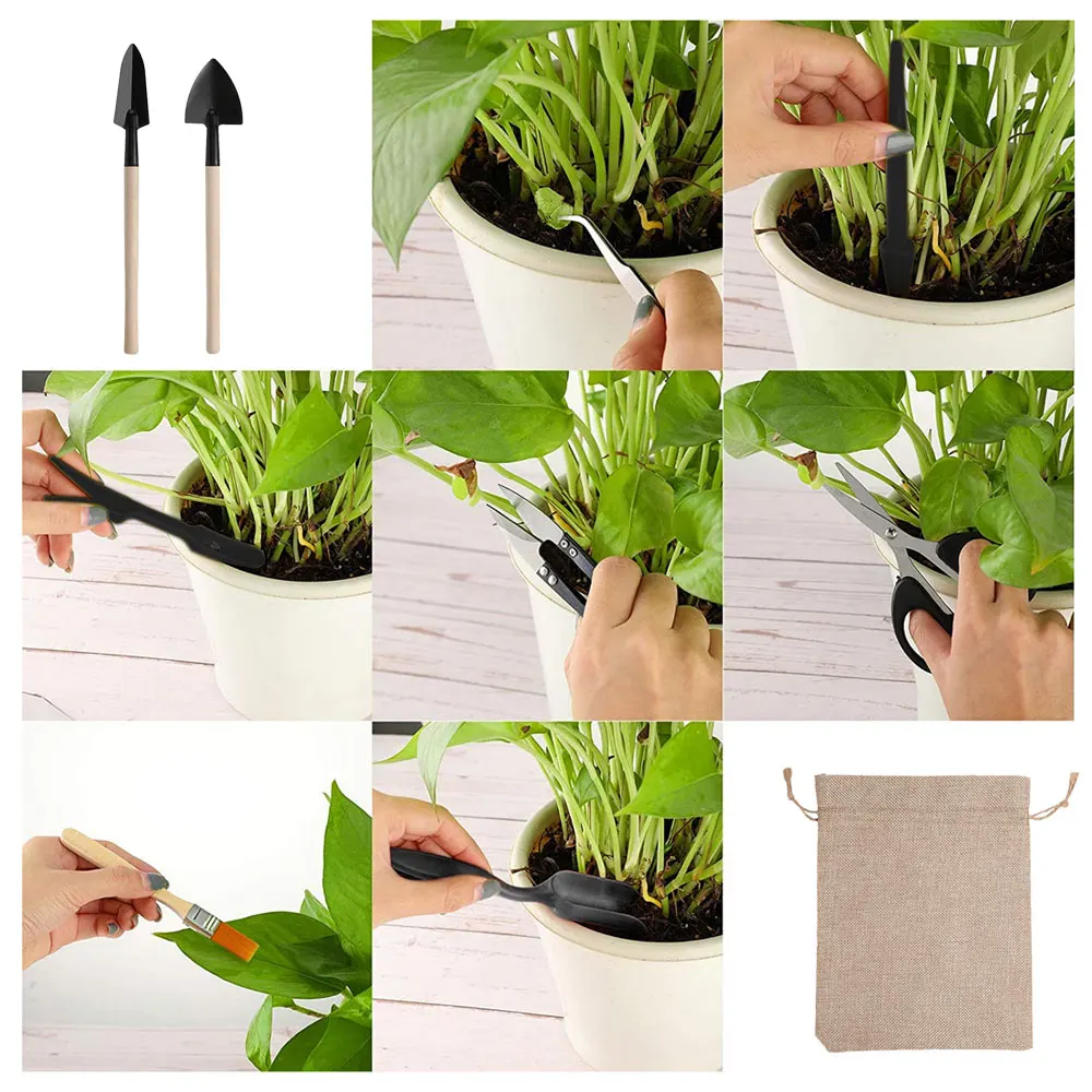 13PCS Succulent Plants Tool Se - Gardening Tools Kit For Home Garden บทวิจารณ์และราคา