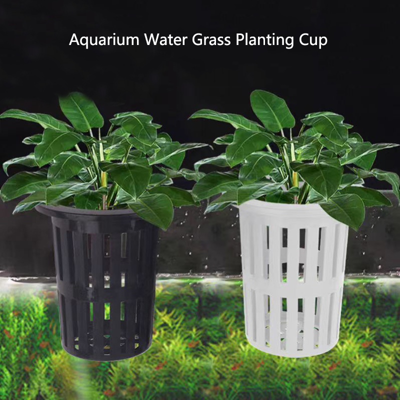 1/3Pcs Aquarium Plant Basket W - Hanging Planter Basket บทวิจารณ์และราคา