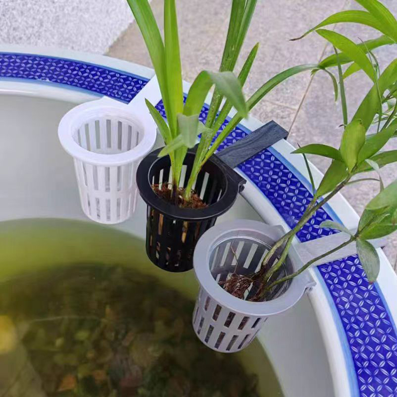 1/3Pcs Aquarium Plant Basket W - Hanging Planter Basket บทวิจารณ์และราคา