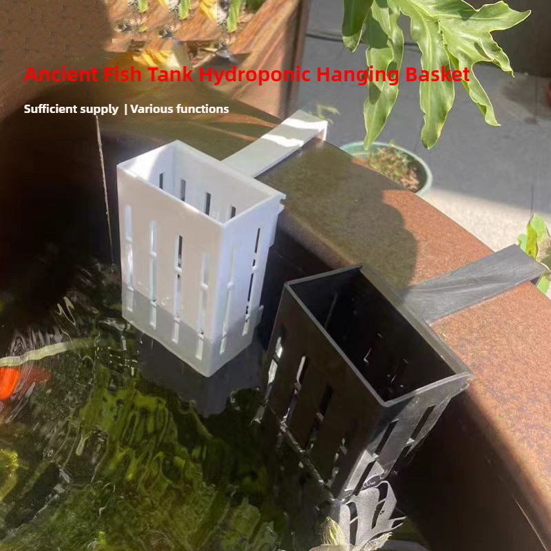 1/3Pcs Aquarium Plant Basket W - Hanging Planter Basket บทวิจารณ์และราคา