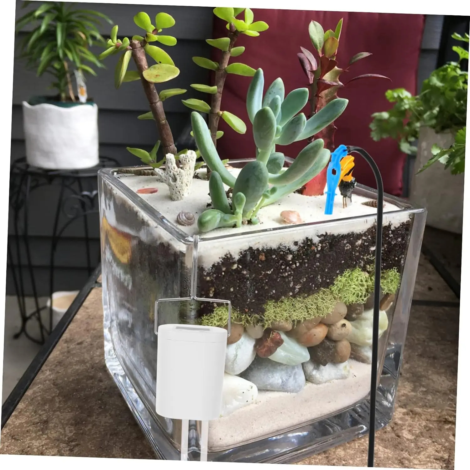 Automatic Plant Flower Waterin - Gardening Tools Kit For Home Garden บทวิจารณ์และราคา