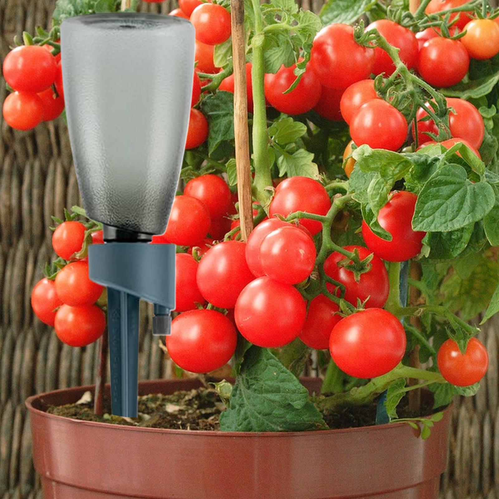 6pcs Automatic Drip Irrigation - Gardening Tools Kit For Home Garden บทวิจารณ์และราคา