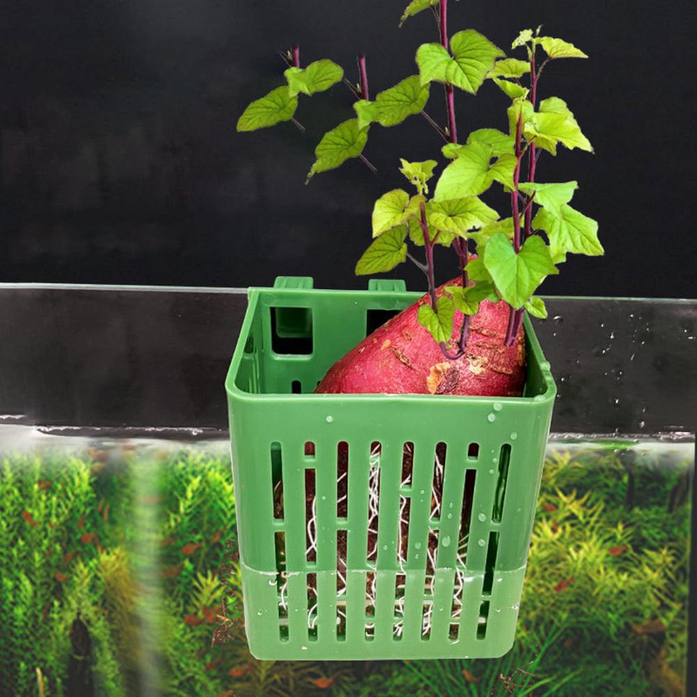 Hanging Aquarium Plant Holder  - Hanging Planter Basket บทวิจารณ์และราคา