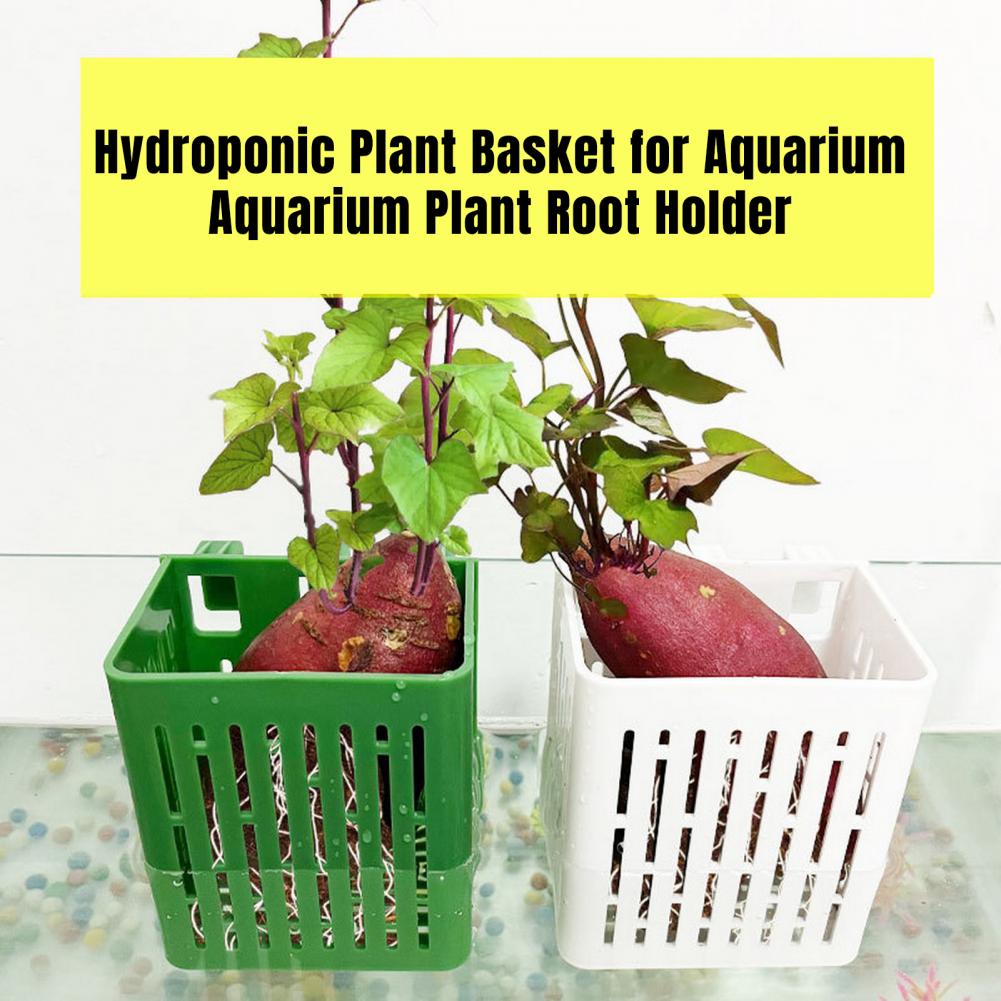 Hanging Aquarium Plant Holder  - Hanging Planter Basket บทวิจารณ์และราคา