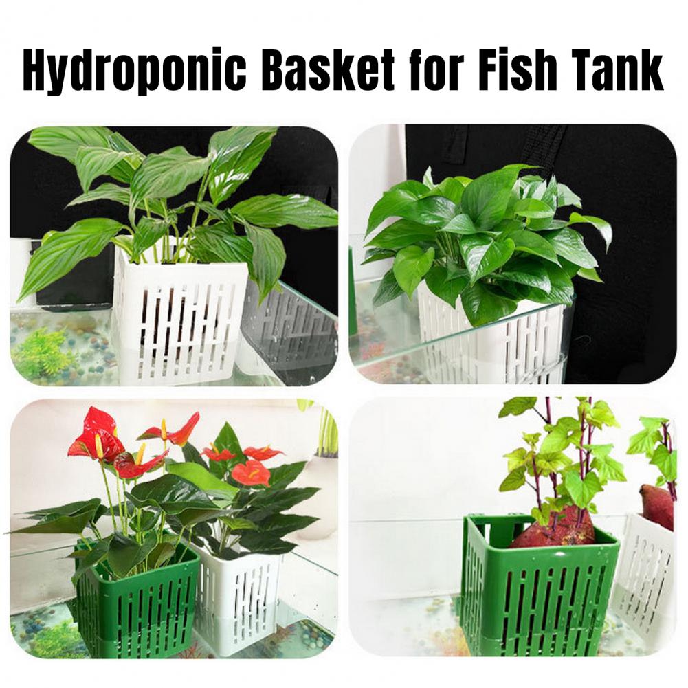 Hanging Aquarium Plant Holder  - Hanging Planter Basket บทวิจารณ์และราคา
