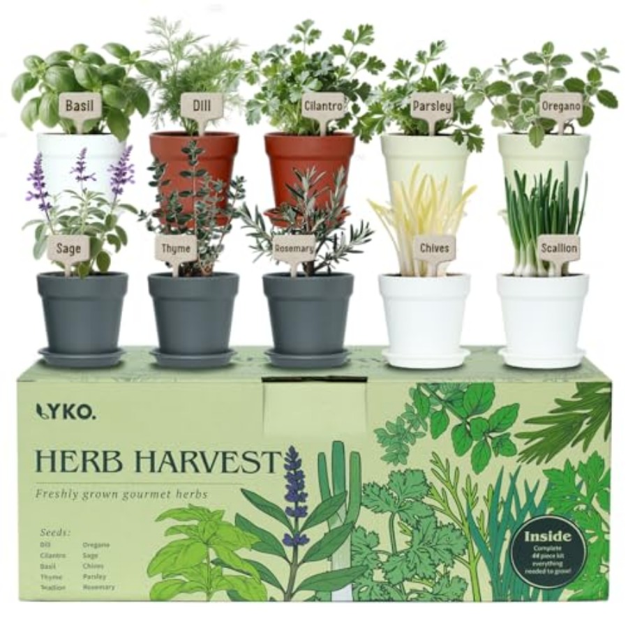 10 Indoor Herb Garden Kit 33pc - Gardening Tools Gift Ideas บทวิจารณ์และราคา