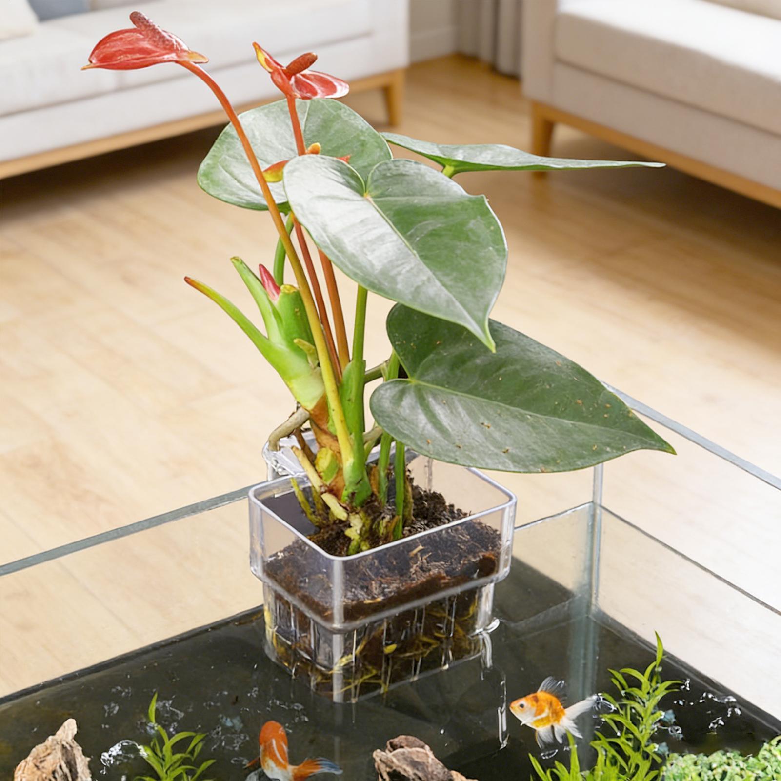 Aquarium Plant Basket Transpar - Hanging Planter Basket บทวิจารณ์และราคา