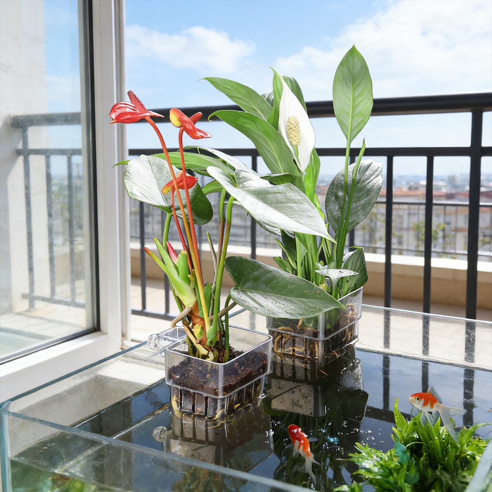 Aquarium Plant Basket Transpar - Hanging Planter Basket บทวิจารณ์และราคา
