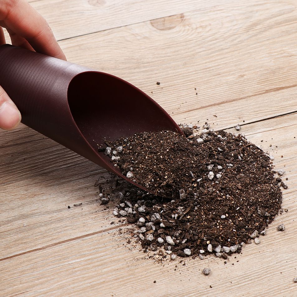 1PC Plastic Soil Shovel Cup Fo - Gardening Tools Shovel บทวิจารณ์และราคา